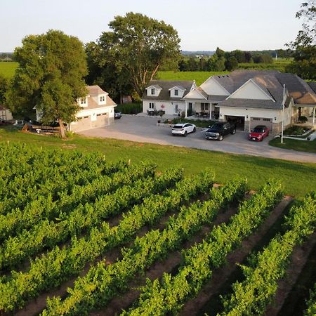 Villa In The Vines Niagara-on-the-Lake ภายนอก รูปภาพ