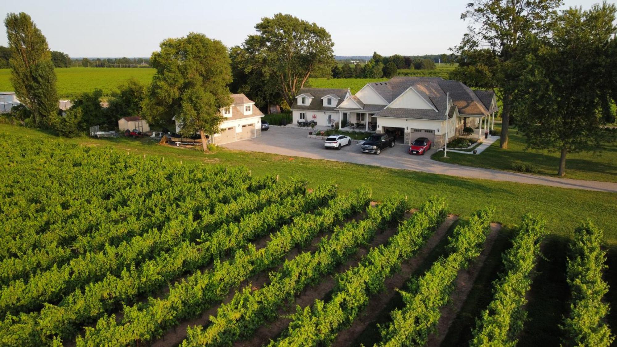 Villa In The Vines Niagara-on-the-Lake ภายนอก รูปภาพ